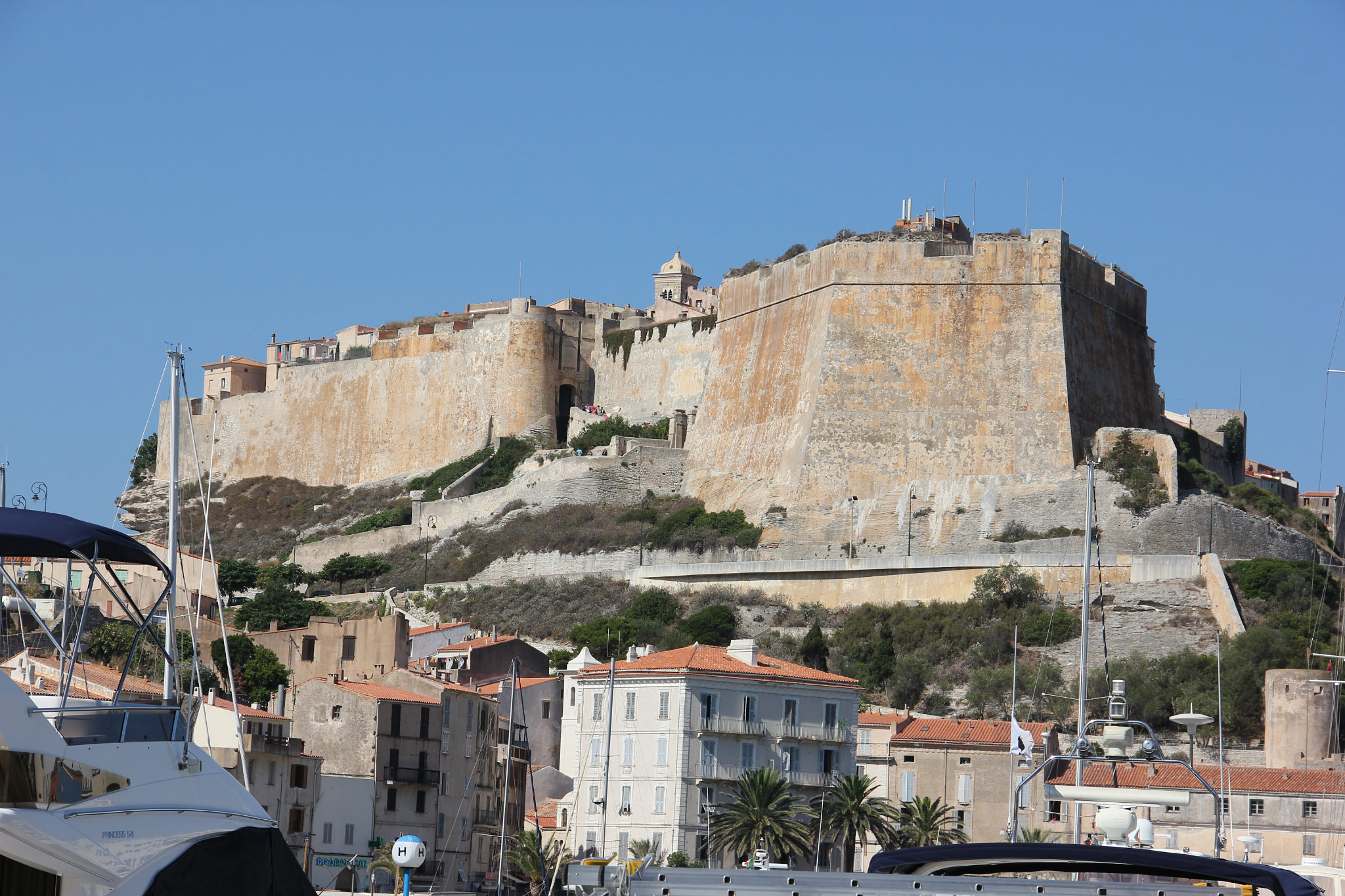 Bonifacio